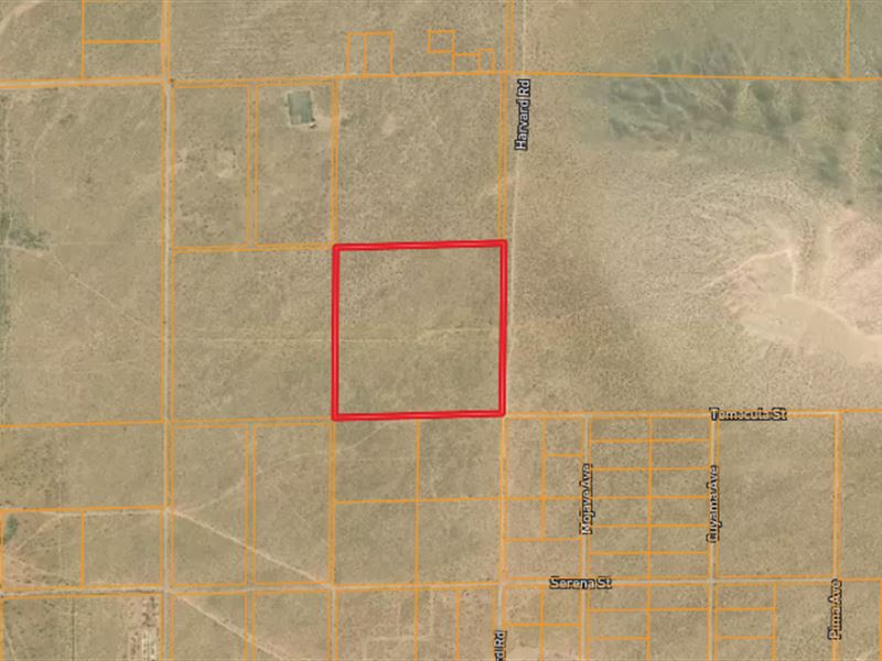 40 Acres in Newberry Springs, CA : Newberry Springs : San Bernardino County : California