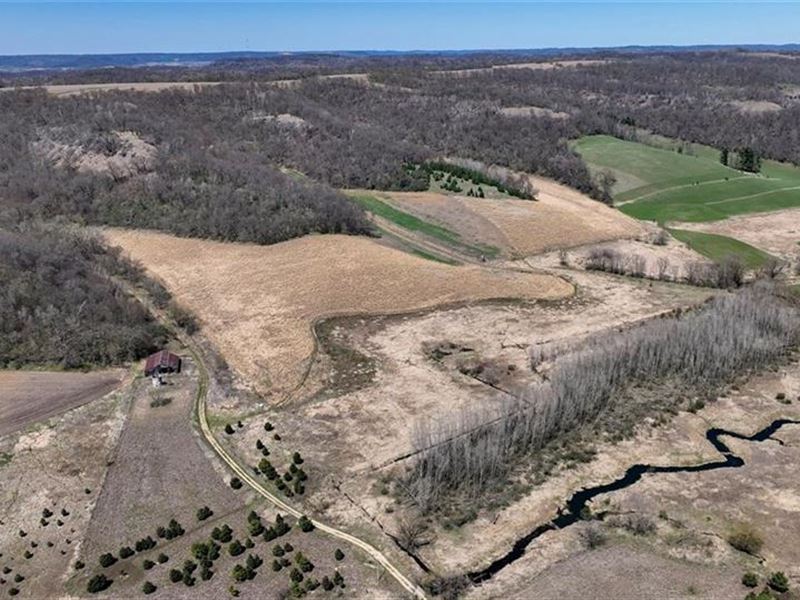 135 Acres Buffalo County : Alma : Buffalo County : Wisconsin