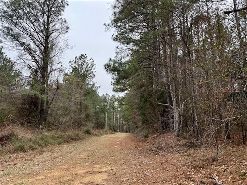 5.9 Ac Maypop Ln, Meadville, MS : Meadville : Franklin County : Mississippi