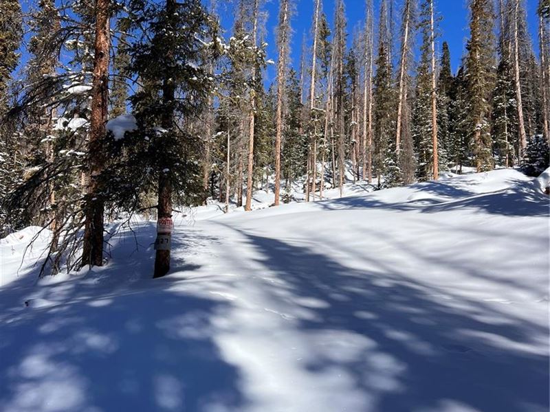 Historic Mining Claim : Saint Elmo : Chaffee County : Colorado