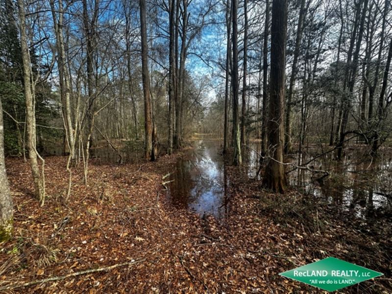 98 Ac Timber & Hunting : Summerfield : Claiborne Parish : Louisiana