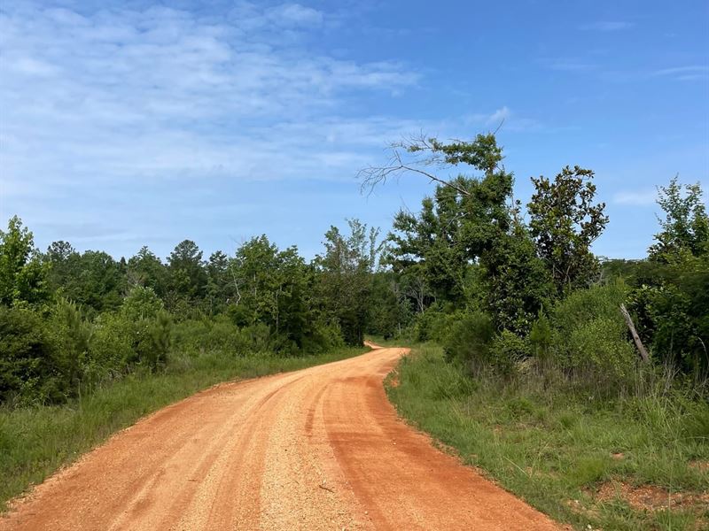 139 Acres Pate Rd : Castleberry : Conecuh County : Alabama