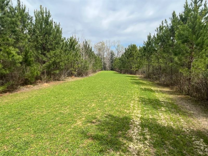 90 Ac Butler Co : Greenville : Butler County : Alabama