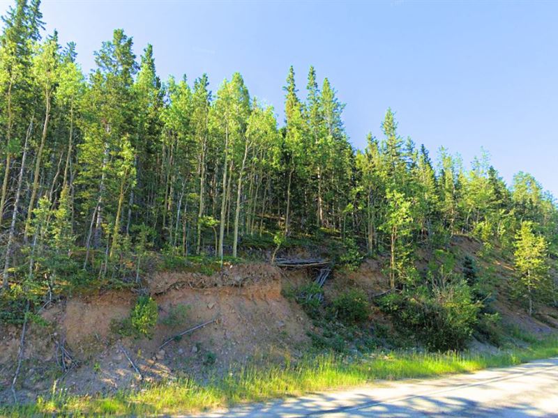 Hwy 67 Frontage & Pikes Peak View : Cripple Creek : Teller County : Colorado