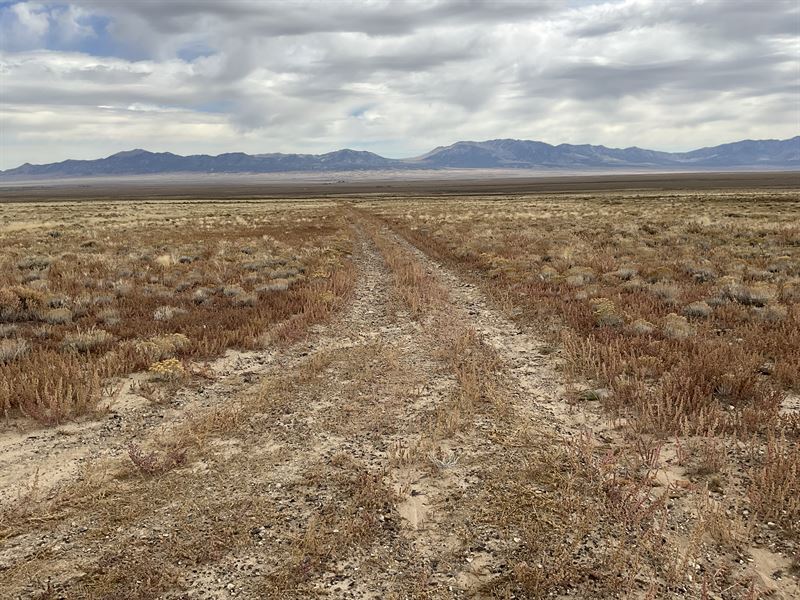 Agricultural Residential Lot : Montello : Elko County : Nevada