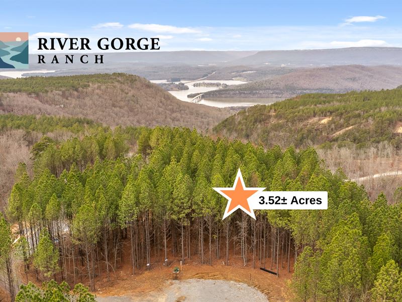 Bluff Site in River Gorge Ranch : Guild : Marion County : Tennessee