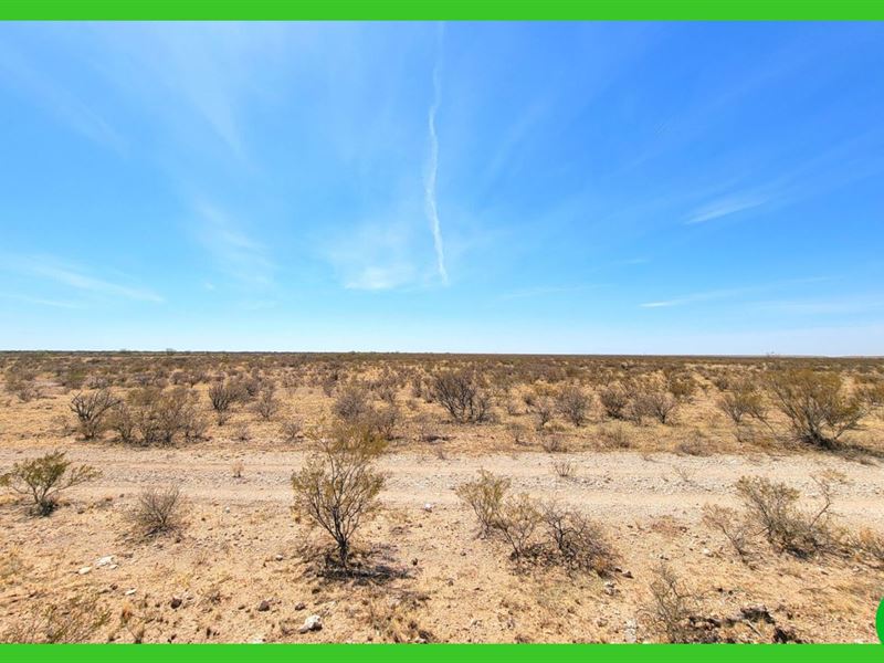 20 Ac Sierra Blanca, No Restriction : Sierra Blanca : Hudspeth County : Texas