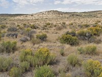 Camp, Ride, Explore in Nv, $90/Mo : Elko : Nevada