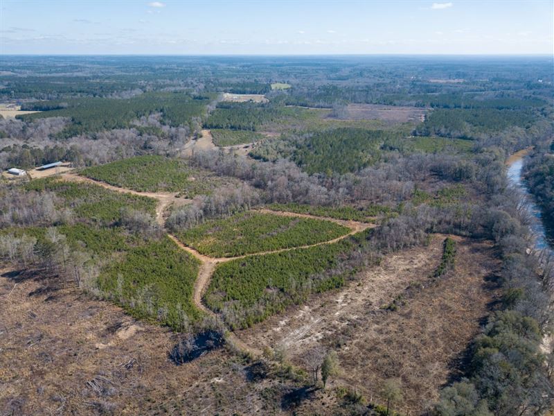 Clarke County, 236.73 Acres : Shubuta : Clarke County : Mississippi