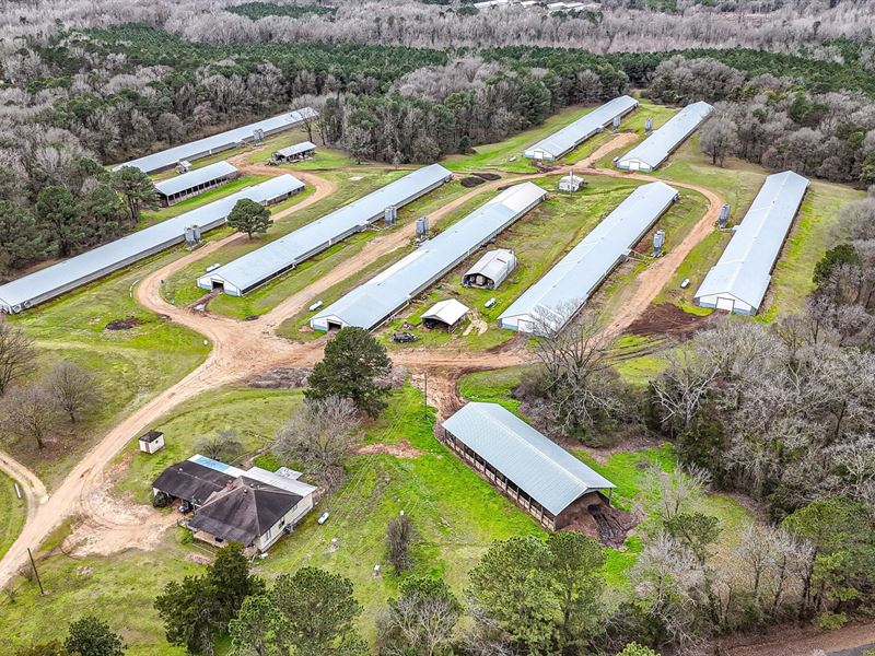 Lueg Broiler Farm : Dubach : Lincoln Parish : Louisiana