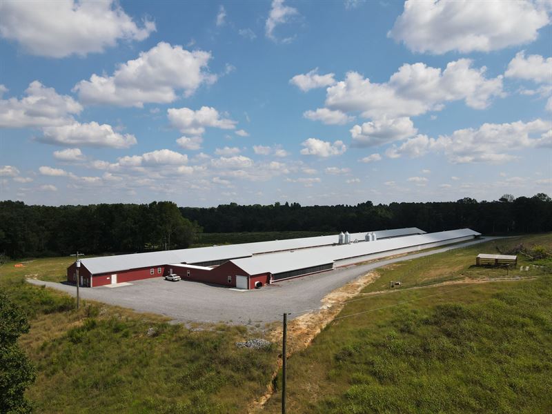 Bryant Breeder Farm : Cullman : Cullman County : Alabama