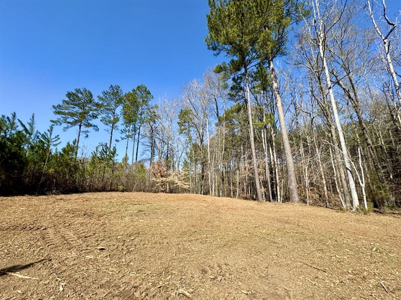 Fantastic Homesite with Creek : Sparta : Hancock County : Georgia