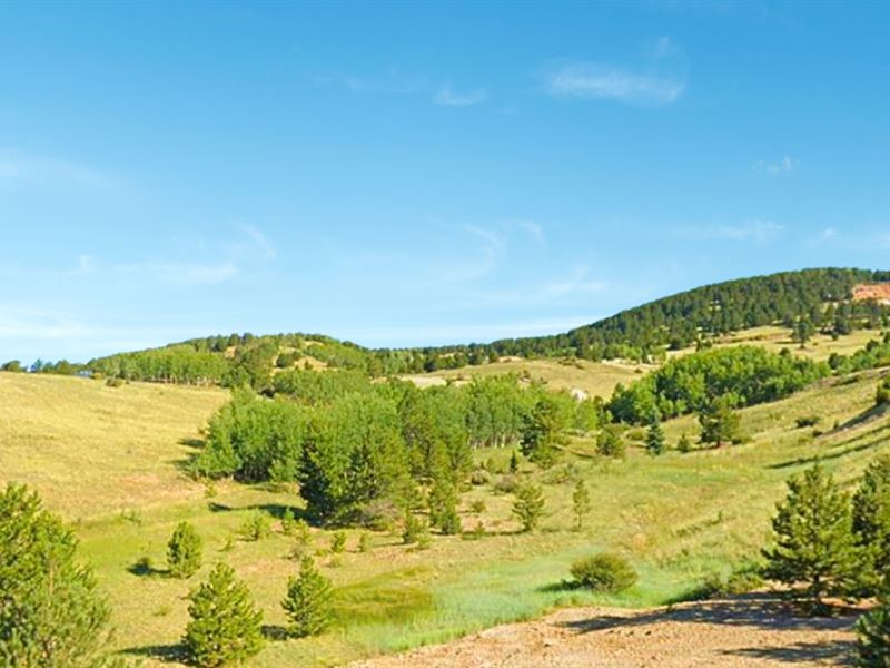 Own 2.6 Acres Priced to Sell : Cripple Creek : Teller County : Colorado