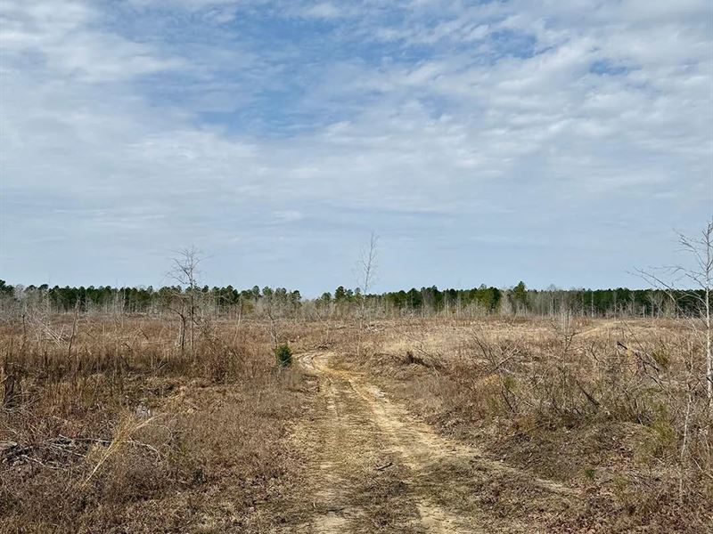 51 Acres in Kemper County, MS : Preston : Kemper County : Mississippi