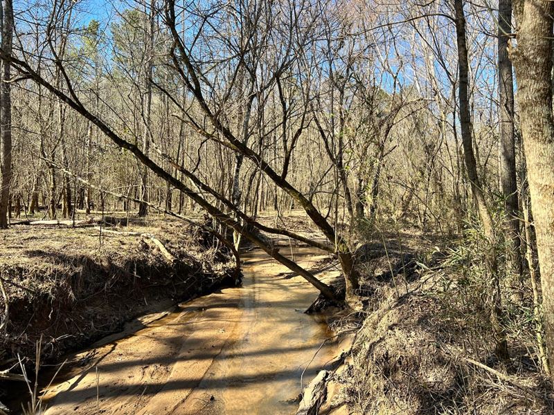 Kettle Creek at The Little River : Washington : Wilkes County : Georgia