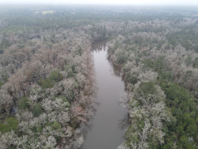 Esacatawpa River Tract, 441 Acres : Lucedale : George County : Mississippi