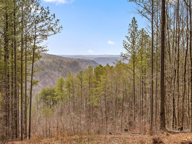 3.35 Acre Homesite with Bluff View : Guild : Marion County : Tennessee