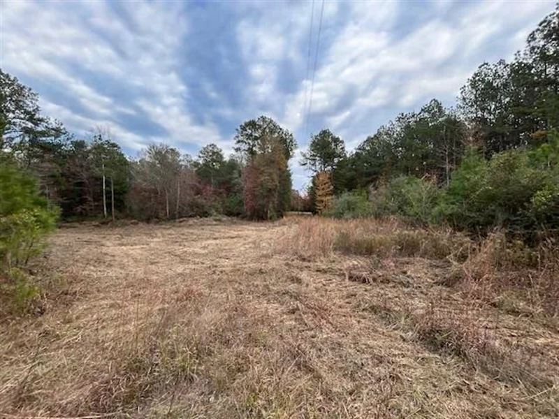 5.5 Acres in Amite County : Smithdale : Pike County : Mississippi