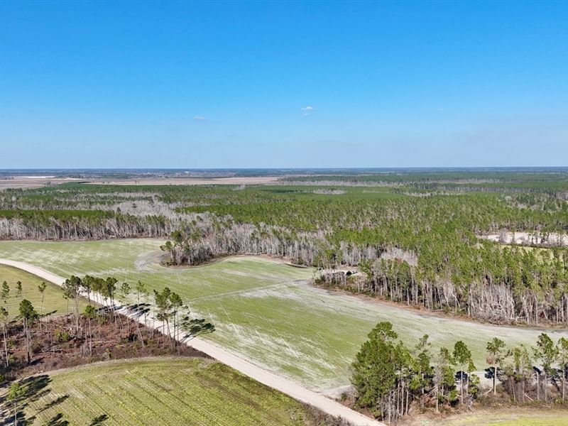 97.63 Acres in Hazlehurst GA : Hazlehurst : Jeff Davis County : Georgia