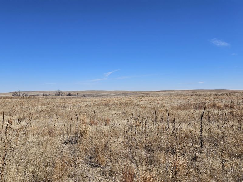 Western Deuel County Crp : Chappell : Deuel County : Nebraska