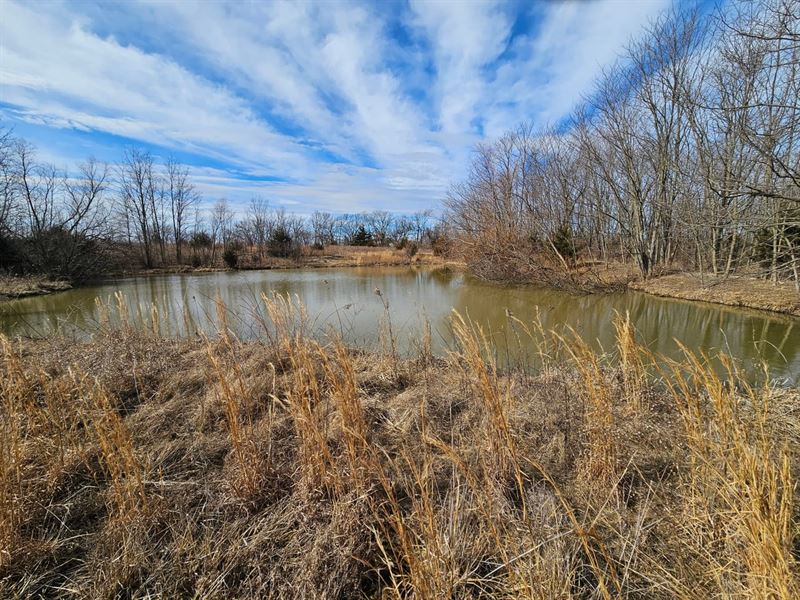 Ray County Building Acreage : Lawson : Clay County : Missouri