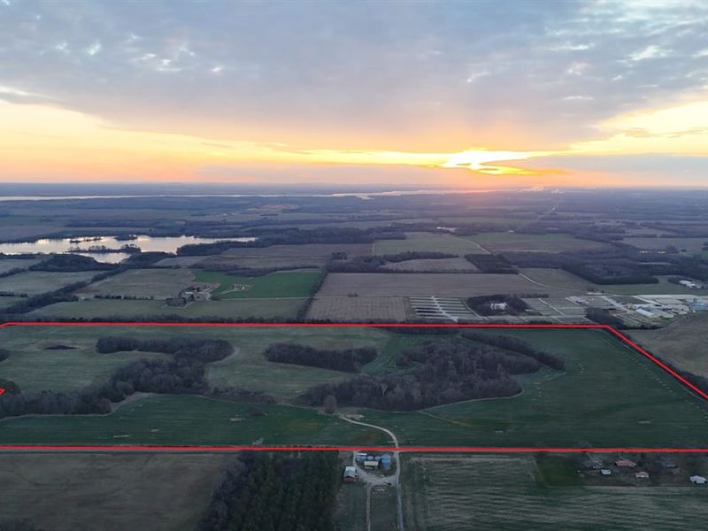 293 Acre Industrial, Commercial, So : Courtland : Lawrence County : Alabama