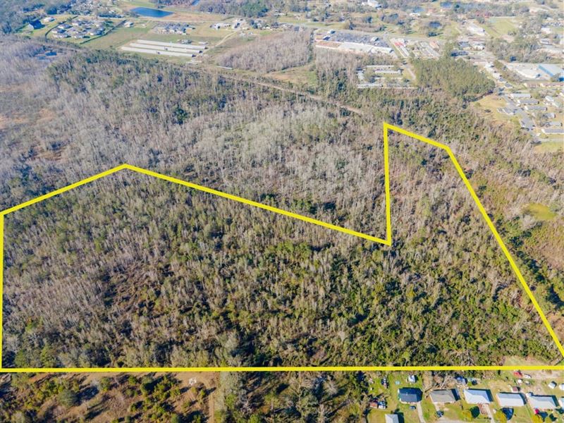 30.68 Acres of Prime Vacant Land : Madison : Madison County : Florida