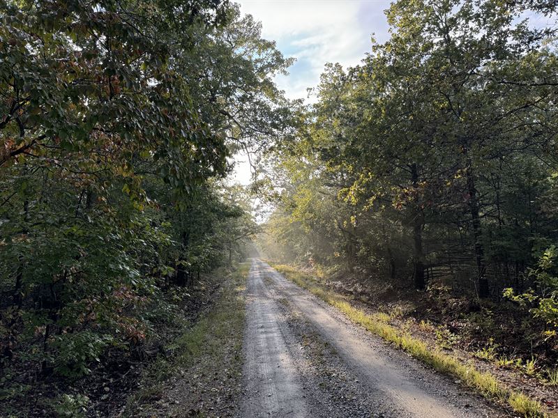 Your Cozy Tiny Home Retreat Awaits : Horseshoe Bend : Izard County : Arkansas