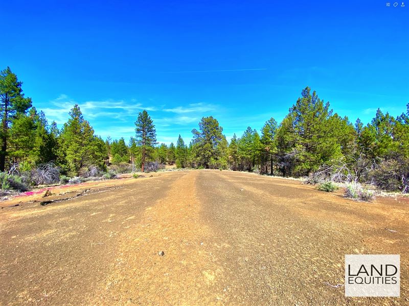 Unique Private Setting in The Trees : Sprague River : Klamath County : Oregon