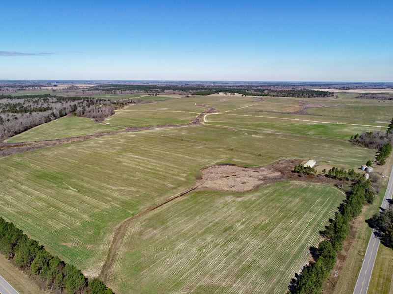 2130 Acre Mossy Creek Plantation : Millen : Burke County : Georgia