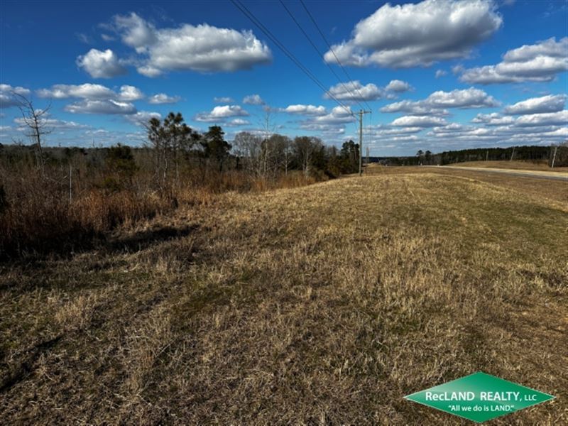 42 Ac, Timberland for Home Site : Bernice : Union Parish : Louisiana