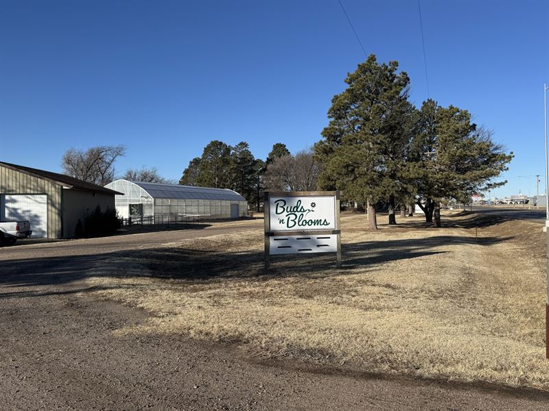 Buds N Blooms : Goodland : Sherman County : Kansas