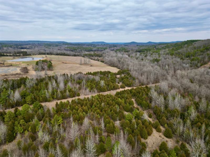 43 Acre Farm, Homestead or Hunting : Bee Branch : Van Buren County : Arkansas