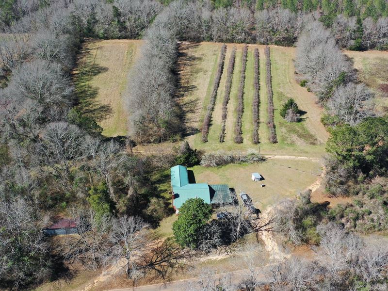 Conecuh County Homestead Retreat : Evergreen : Conecuh County : Alabama