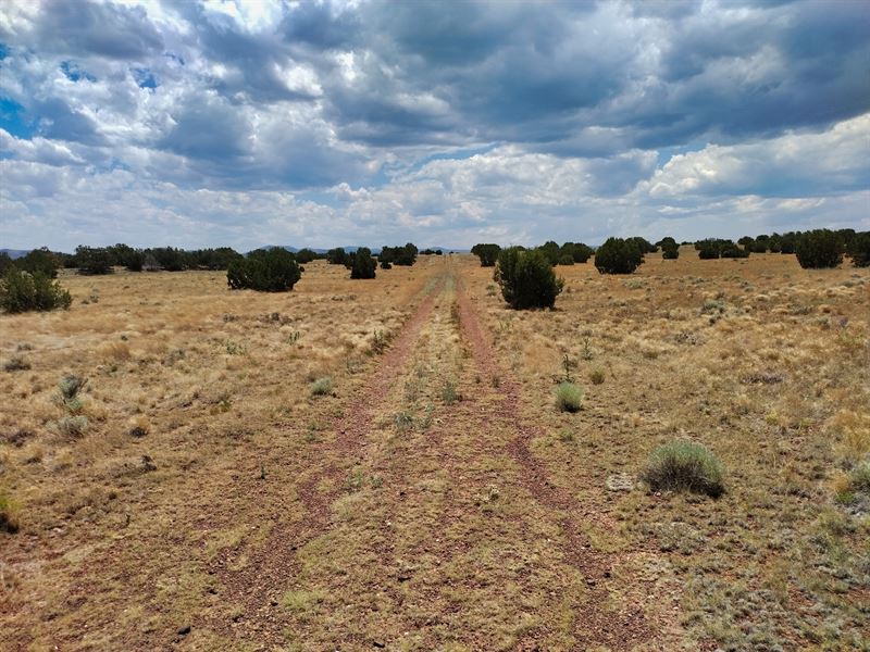 Off-Grid Homestead Opportunity : Concho : Apache County : Arizona