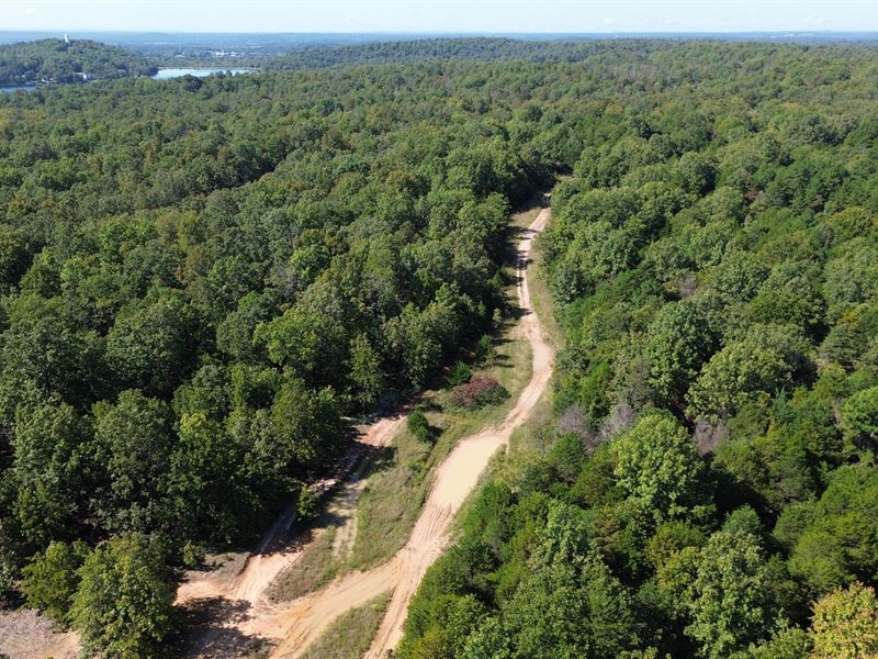 Whitetail Paradise, Creek Access : Horseshoe Bend : Izard County : Arkansas