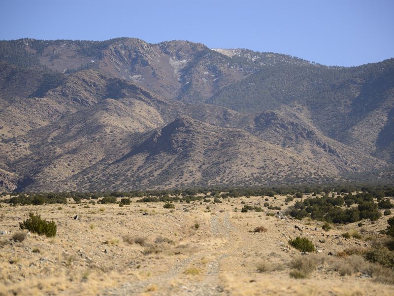 Adventure Through The Manzano Mtns : Belen : Valencia County : New Mexico