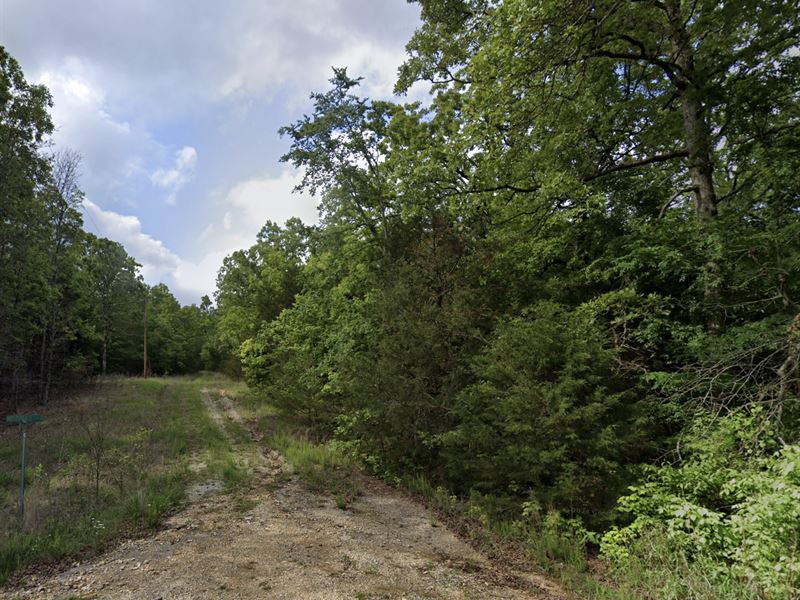 Walk to Pioneer Lake From This Lot : Horseshoe Bend : Izard County : Arkansas