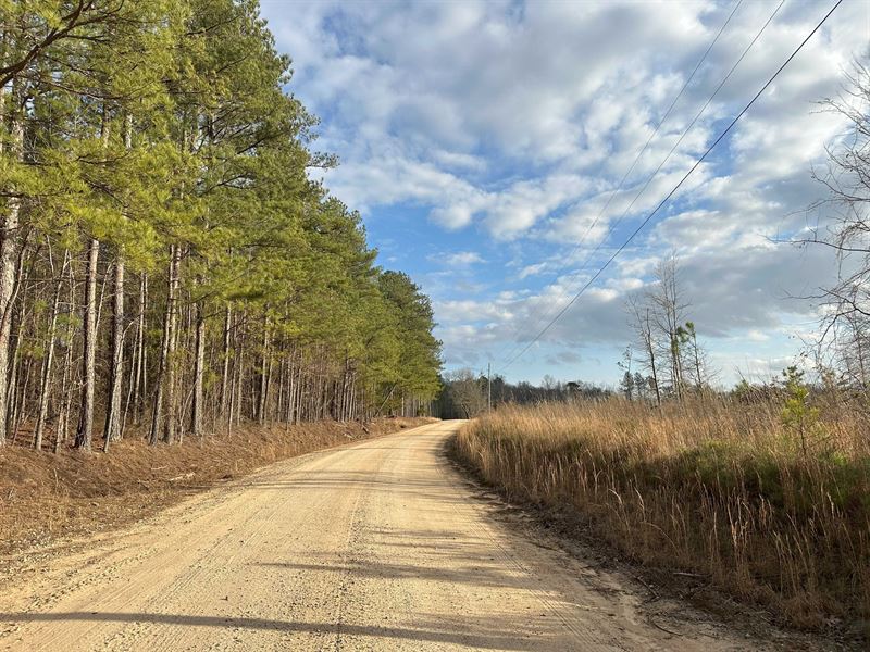 Bull Bray Tract A +/- 44.5 Ac : Stephens : Oglethorpe County : Georgia