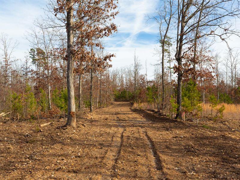 Texas County, no Credit Check Land : Hartshorn : Texas County : Missouri