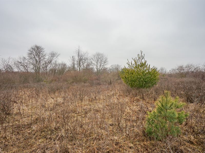 Red Lane Rd 3.44 : Cumberland : Guernsey County : Ohio