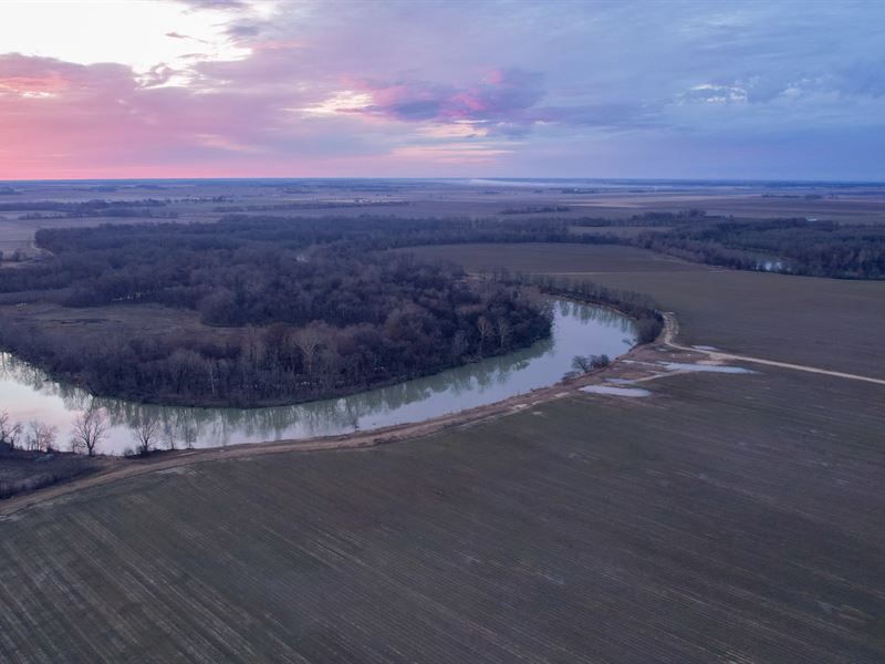 Black River Farm : Pocahontas : Randolph County : Arkansas