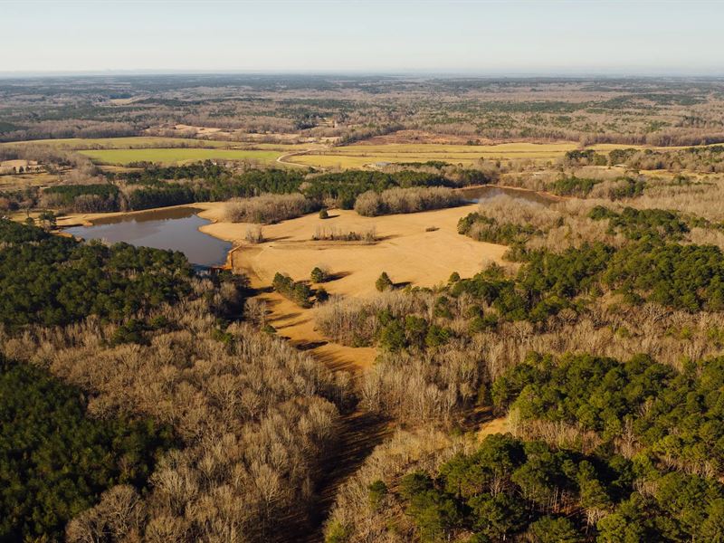 354 Acres with A Camp in Yalobusha : Coffeeville : Yalobusha County : Mississippi