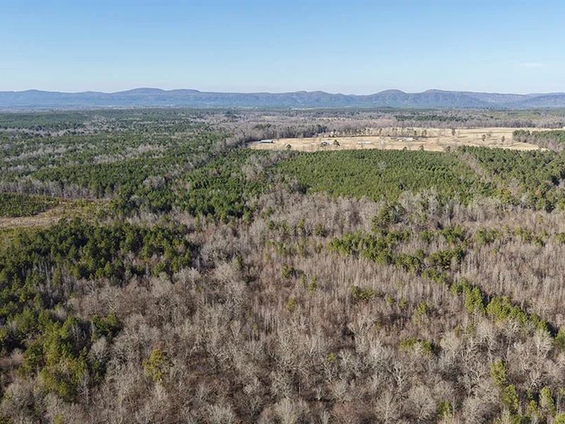 159 Acres in Howard County, AR : Newhope : Howard County : Arkansas