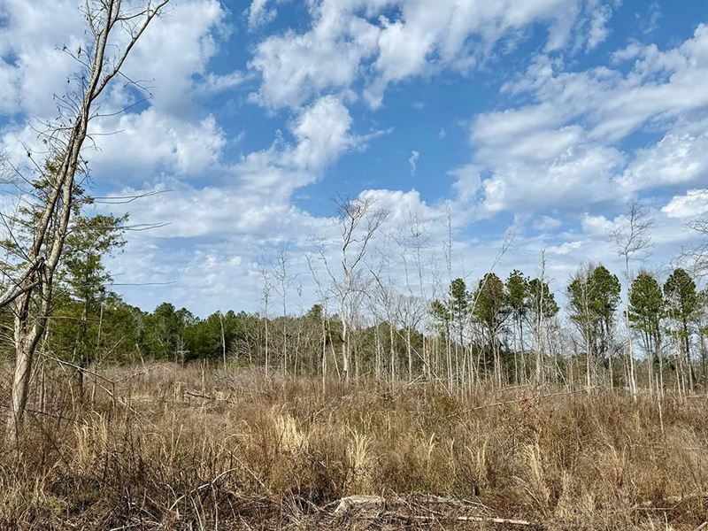 10 Acres in Kemper County, MS : Preston : Kemper County : Mississippi