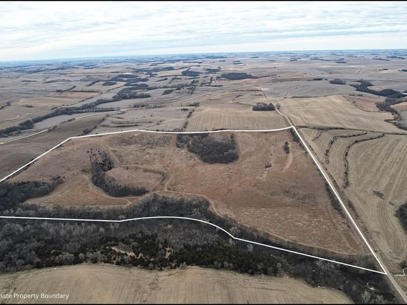 Burt County Hunt & Crp : Decatur : Burt County : Nebraska