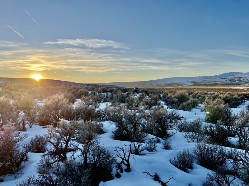 10 Acres-Open Space-Off-Grid-$275 : Montello : Elko County : Nevada