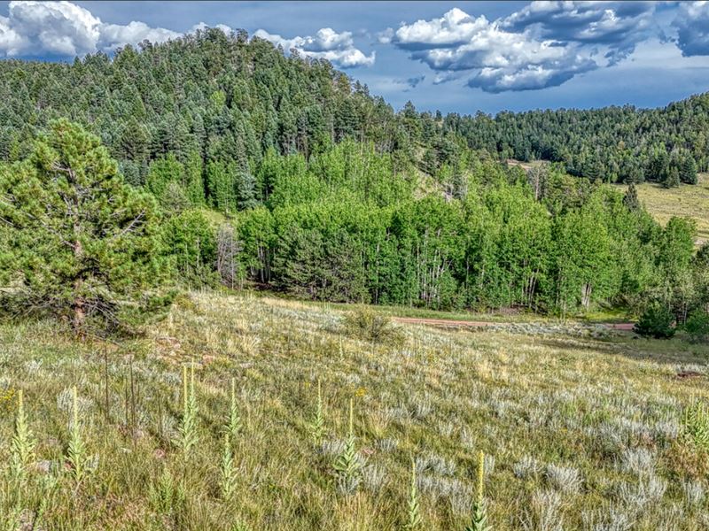 Breathtaking Mountain Views : Cripple Creek : Teller County : Colorado