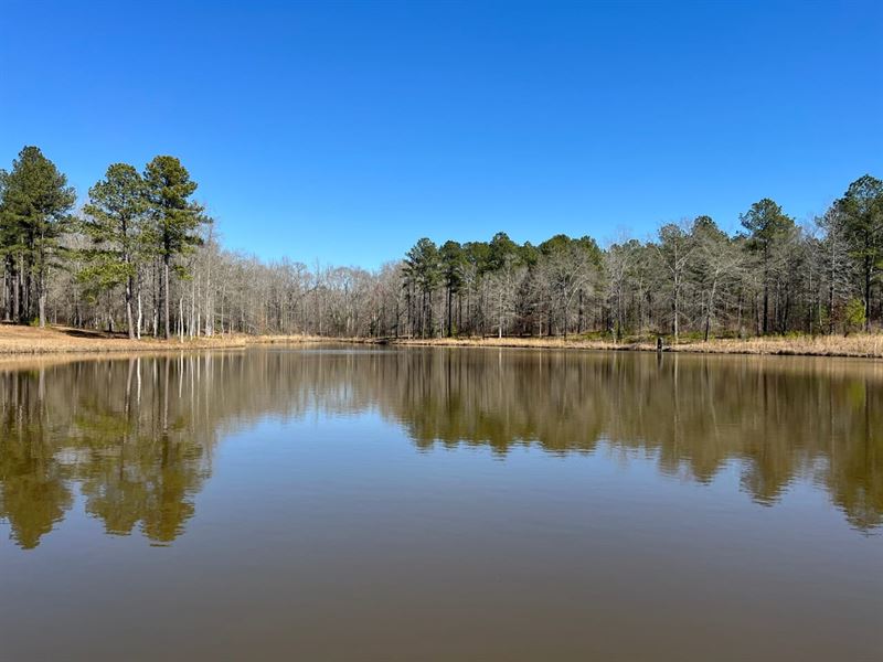 Potato Creek Hunting Plantation : Meansville : Pike County : Georgia