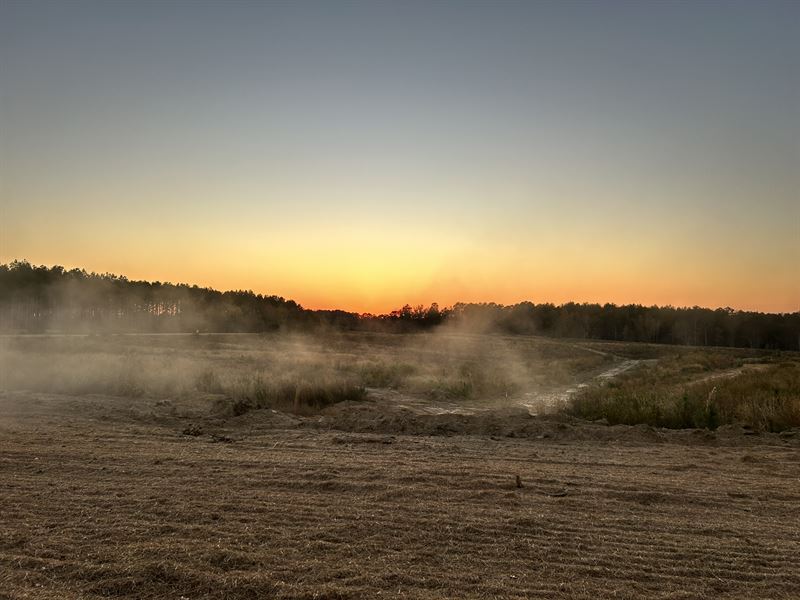 Parcel 1 Hwy 24, Sunset Hill Estate : Liberty : Amite County : Mississippi